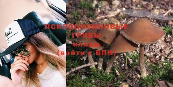 винт Абинск